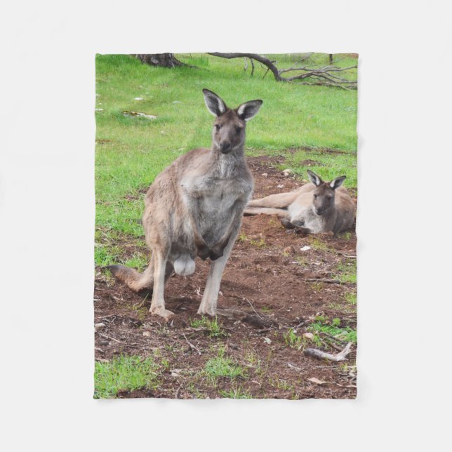 Cobertor De Velo Buck Kangaroo australiano, Pequeno Fleece Blanket. (Frente)