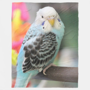 Cobertor De Velo Budgie