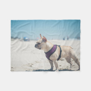 Cobertor De Velo Buldogue francês na praia