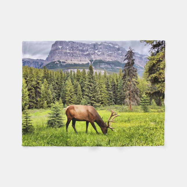 Cobertor De Velo Bull Elk e Castle Mountain In Banff (Frente (Horizontal))