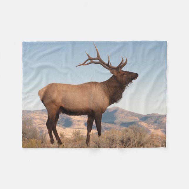 Cobertor De Velo Bull Elk perto de Mammoth | Wyoming (Frente (Horizontal))