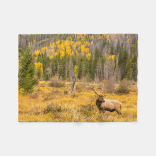 Cobertor De Velo Bull Elk   Rocky Mountain National Park Colorado