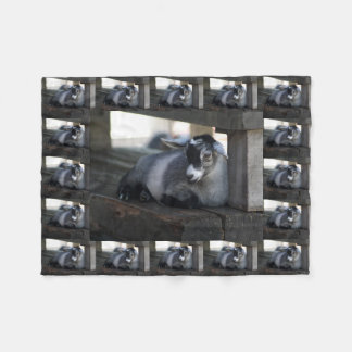 Cobertor De Velo Cabra