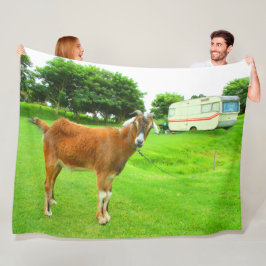 COBERTOR DE VELO CAÇA RAINHA