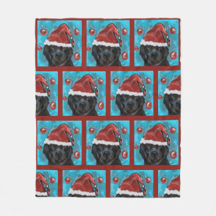 Cobertor De Velo Cachorro da Terra Nova