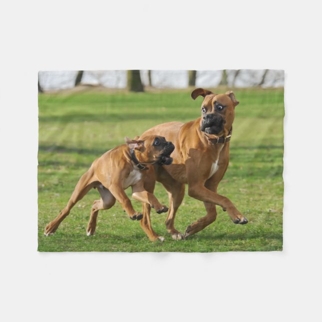 Cobertor De Velo Cães boxers correm uma corrida engraçada (Frente (Horizontal))