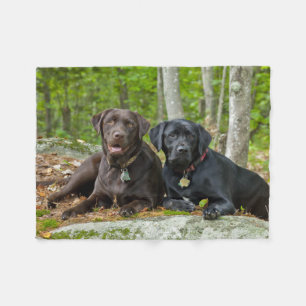Cobertor De Velo Cães Cachorros Cachorros Puppies Black Lab Chocol