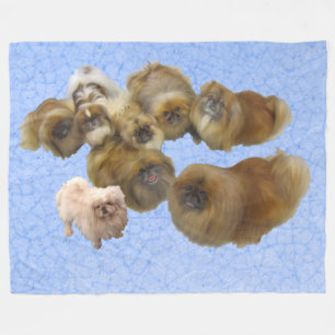 Cobertor De Velo Cães Pekingese em Azul