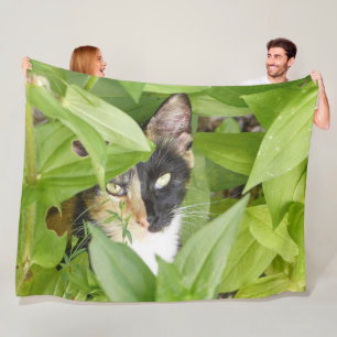 Cobertor De Velo Calico Cat nos Zinnias