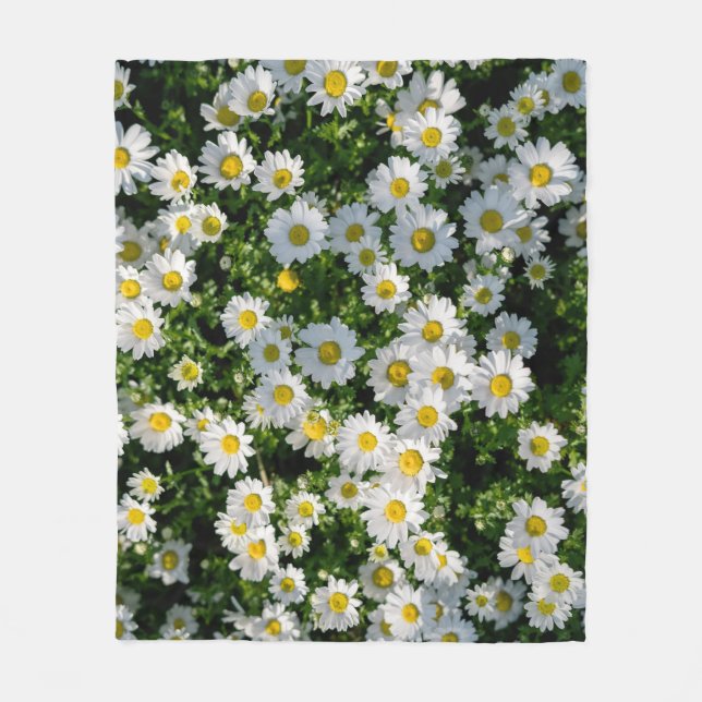 Cobertor De Velo Campo primavera Daisy: Fundo Serene (Frente)