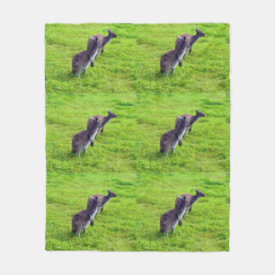 Cobertor De Velo Canguros Australianos Em Grass Med Fleece Blanket