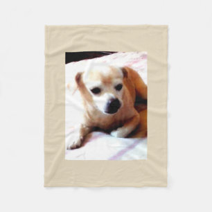 Cobertor De Velo Cão bonito