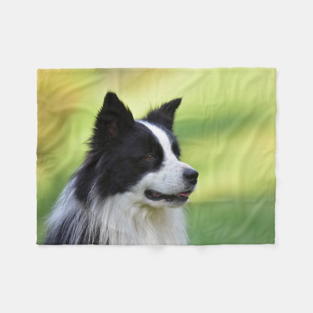 Cobertor De Velo Cão Border Collie Preto e Branco (Frente (Horizontal))
