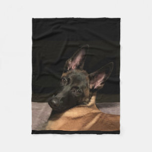 Cobertor De Velo Cão Malinois belga