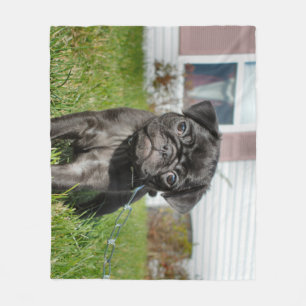Cobertor De Velo Cãozinho preto