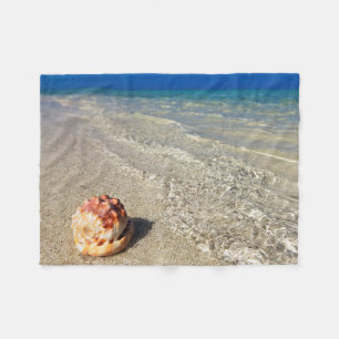 Cobertor De Velo Capacete Shell em Lagoon tropical Cassis Rufa