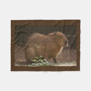 Cobertor De Velo Capybara