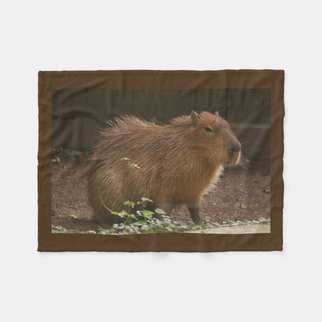 Cobertor De Velo Capybara (Frente (Horizontal))