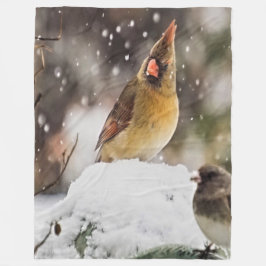 Cobertor De Velo Cardeal E Sparrow Na Neve