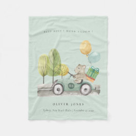 Cobertor De Velo Carro do Partido do Ursinho Verde de Aqua Bonito