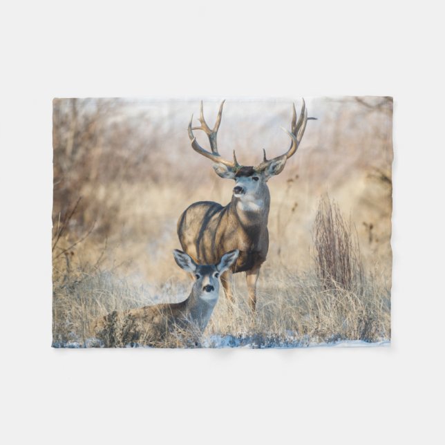 Cobertor De Velo Casal Buck | Mule Deer (Frente (Horizontal))