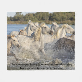 Cobertor De Velo Cavalo Camargue Raça Antiga Da França Equestre