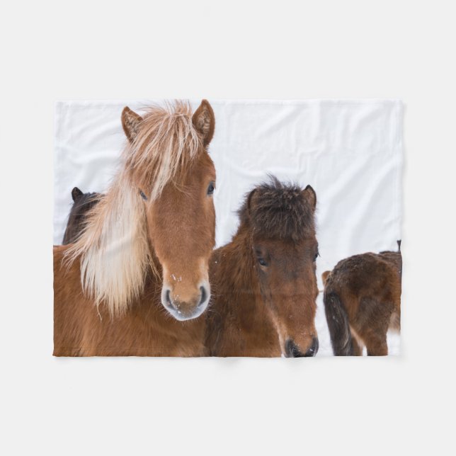 Cobertor De Velo Cavalos islandeses fofos juntos (Frente (Horizontal))