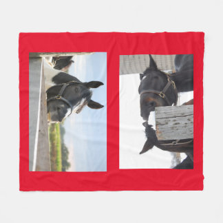 Cobertor De Velo Cavalos mastigando uma cerca