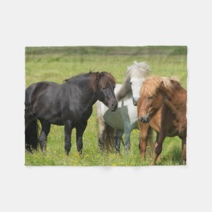 Cobertor De Velo Cavalos na Fazenda, Sul da Islândia