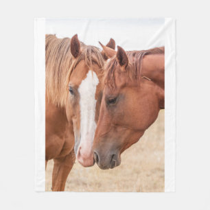 Cobertor De Velo Cavalos que se infundem numa pastagem