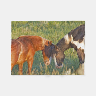 Cobertor De Velo Cavalos Selvagens no Theodore Roosevelt National P