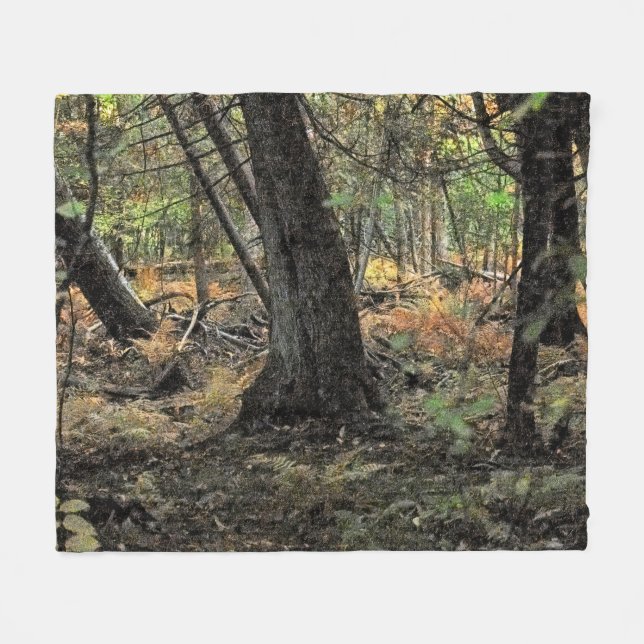 Cobertor De Velo Cena de floresta outonal    (Frente (Horizontal))