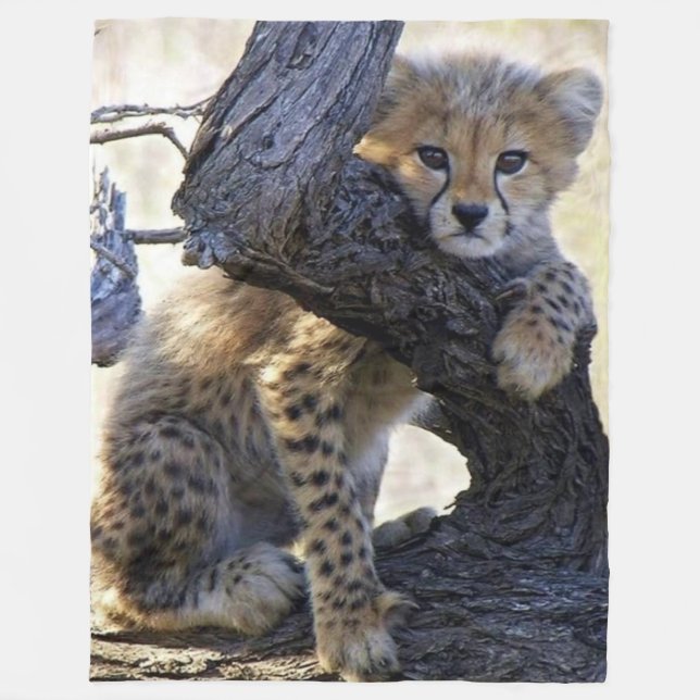 COBERTOR DE VELO CHEETAH CUB (Frente)