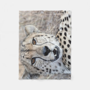 Cobertor De Velo Cheetah Portrait