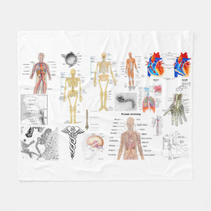 Cobertor De Velo Cheio médico dos diagramas da anatomia humana
