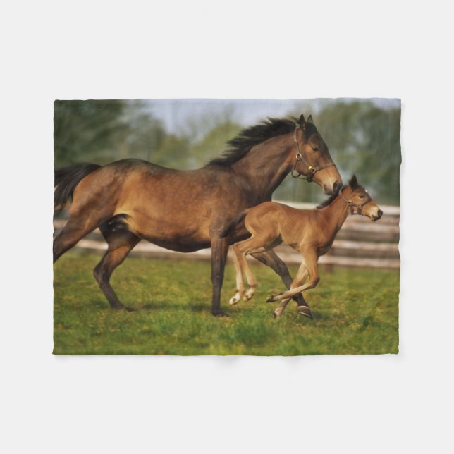Cobertor De Velo Chestnut Mare & Foal puro (Frente (Horizontal))