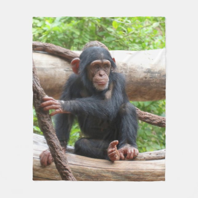 Cobertor De Velo Chimpanzé 001 (Frente)
