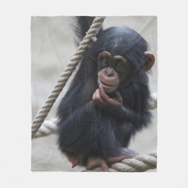 Cobertor De Velo Chimpanzé 030 (Frente)