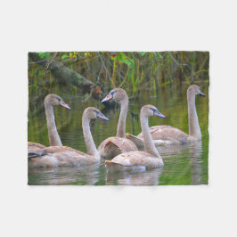Cobertor De Velo Cisne Único