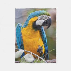Cobertor De Velo Cobertura azul e amarela de Sherpa do Macaw