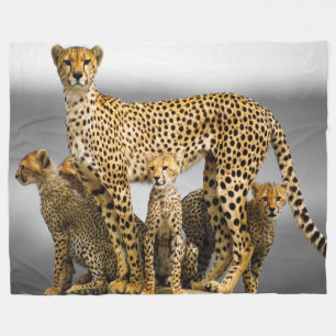 Cobertor De Velo Cobertura/chita & Cubs do velo
