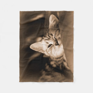 Cobertor De Velo cobertura do gato