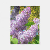 Cobertura dos Lilacs