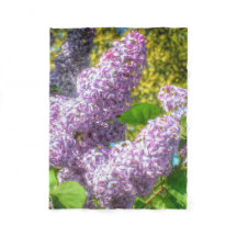 Cobertura dos Lilacs