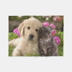 Cobertor De Velo Cobertura/filhote de cachorro e gatinho do velo