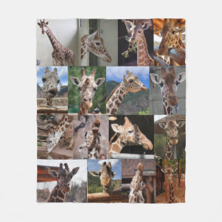 Cobertor De Velo Cobertura média de 50" x 60"