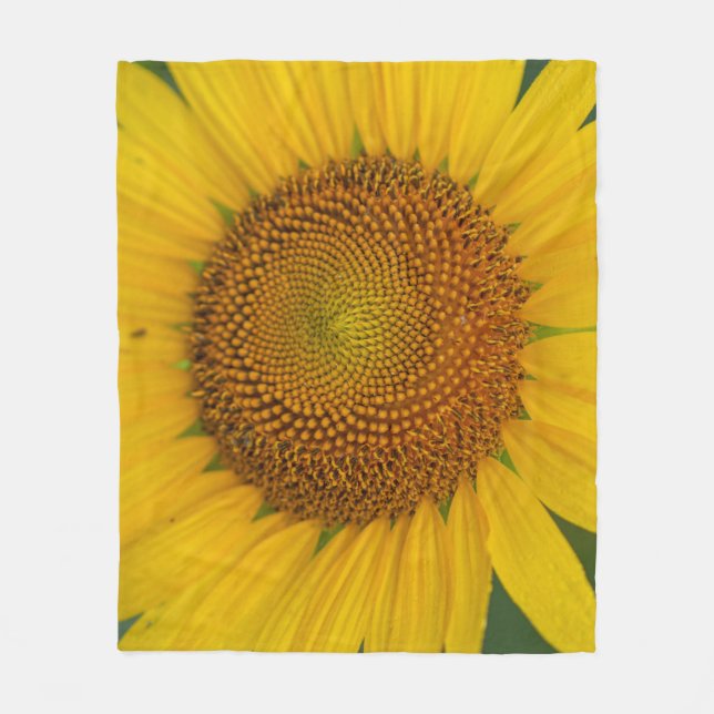 Cobertor De Velo Cobertura Sunflower Blanket (Frente)