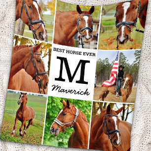 Cobertor De Velo Colagem Fotográfica Personalizada Moderna Pet Hors