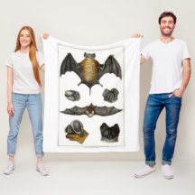 Coleção de vários morcegos