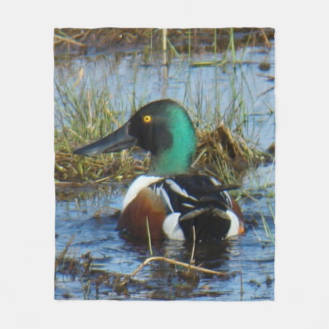 Cobertor De Velo Coluna de Norte B25 Shoveler Drake (Frente)